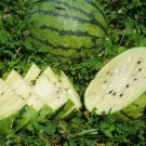 15+ Seeds Juicy White Watermelon