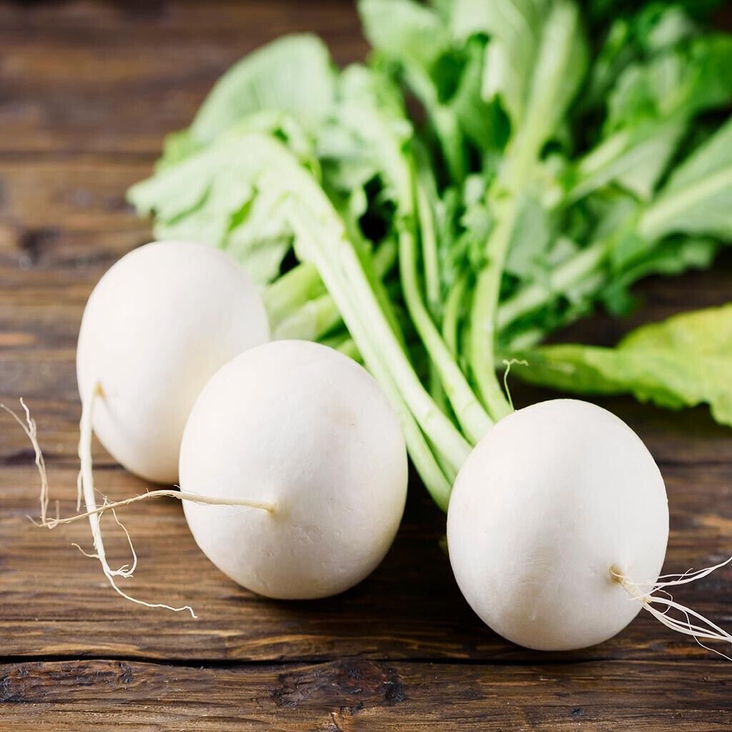 200+ Radish Seeds Cherry Belle Radish(Raphanus Sativus) Non-GMO Vegetable USA