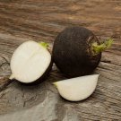 100 Organic Black Spanish Round Radish seeds