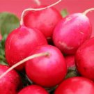 100 Organic Lady Slipper Radish seeds