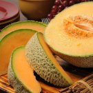 50 Organic Hearts of Gold Cantaloupe Seeds