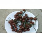 SCARBOROUGH SEEDS Organic Black Cherry Tomato 50 Seeds -Non-GMO -Heirloom