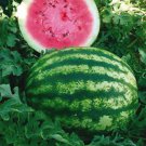 SCARBOROUGH SEEDS Crimson Sweet Watermelon 25 Seeds