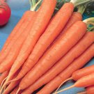 400 Tendersweet Carrot seeds