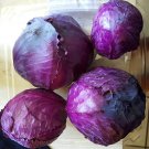 400 Organic Red Acre Cabbage seeds