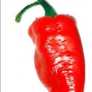 CAYENNE RED PEPPER GIANTS