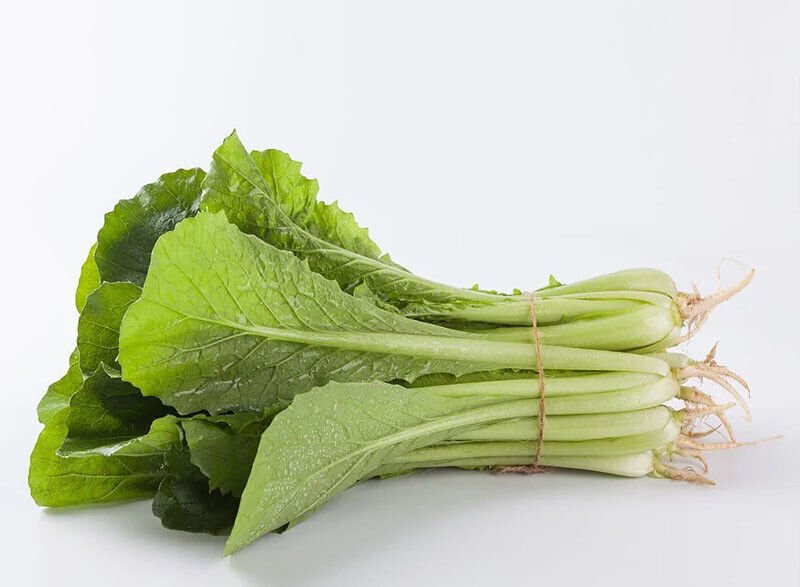 200+Pak Choi Seed
