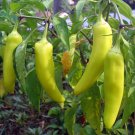 100 Organic Sweet Banana Pepper seeds