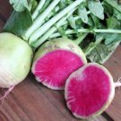 300 Organic Watermelon Radish seeds
