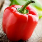 100 Organic Red Yolo Wonder Bell Pepper seeds