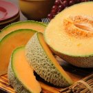 100 Organic Heart's of Gold Cantaloupe Seeds