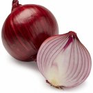 200+ Southport Red Globe Onion seeds