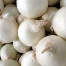 300+ White Sweet Spanish Onion seeds