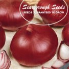 SCARBOROUGH SEEDS Onion, Red Burgundy 300 Seeds