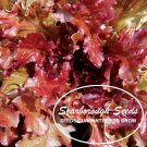 SCARBOROUGH SEEDS Red Salad Bowl Lettuce 1000