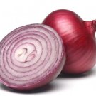 200+ Onion Seeds Red Burgundy Onion (Allium cepa) Fresh Garden Vegetable USA
