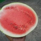 50 Sugar Baby Watermelon Seeds - Small size, HUGE Flavor - Heirloom Watermelon