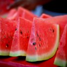 50 Crimson Sweet Watermelon Seeds - Up to 25lb Melons! - AAS Winner!