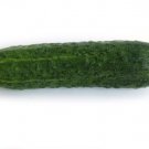 100 Straight 8 Cucumber Seeds - Non-GMO - Heirloom Cucumber Seeds