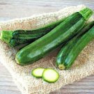 100+ SQUASH ZUCCHINI SEEDS BLACK BEAUTY SUMMER HEIRLOOM VEGETABLE GARDEN NON-GMO