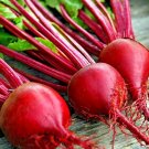 200+ DETROIT BEET SEEDS