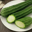 10+Ridged Sponge Gourd Seeds Chinese Okra Angled Luffa Gourd Big Flesh Sigua USA