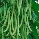 15+Kentucky Wonder Pole Bean Seeds Chinese Four Seasons Pole Green Bean USA