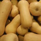 100 Waltham Butternut Winter Squash Seeds - Non-GMO - Heirloom Butternut Squash