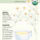 Certified Organic German Chamomile Seeds 250 milligrams Seed Garden