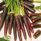 Carrot Hazes With A Deep Purple Exteriors Color Smooth And Taper Roots 100 Seeds