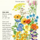 3 Grams Edible Beauties Flower Mix Seeds Garden Seed