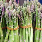 Asparagus Washington Mary Standard Garden Thick Green Stalks Reliable 100 Seeds