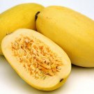 Squash Spaghetti Hasta Sweet La Pasta Offers Appealing Deep Orange Flesh 8 Seeds