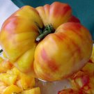 Tomato Seed Heirloom Organic Big Rainbow 50 Seeds Garden
