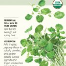 Seed Botanical Interests Organic Watercress 200 mg Seeds Nasturtium officinale
