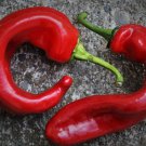 Nardello Jimmy Pepper Sweet Rich Flavor Italian Heirloom Garden Plant 18 Seeds