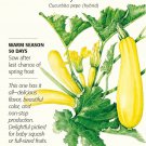 Botanical Interests Cube of Butter Summer Squash 10 Seeds Garden
