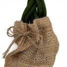 Sanseveria Braided Snake In Bag Mini Snake In Live Plant 2" Pot Plus Burlap Bag