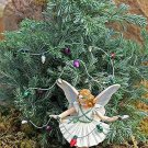 Chamaecyparis Cypress Boulevards Needles Leaves Garden Fairy Live Plant 2.5" Pot