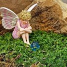 Leptinella Fern Fairy Deep Green Terrarium Houseplant Garden Fairy Live 2.5" Pot