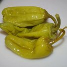 Peppers Pepperoncinis Very Popular Great For Pickling Garden Live Plant 2.5" Pot