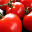 Tomatos Heirloom Creoles Louisianas Some Like It Hot Outdoor Live Plant 2.5" Pot