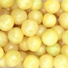 Tomato Whites Snow Cherry Sweet Pales Ivory Yellowish Garden Live Plant 2.5" Pot