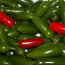 Pepper Serrano Ripen Hot Green To Red Great For Salsa Garden Live Plant 2.5" Pot