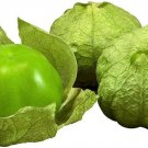 Tomato Husk Tomatillo Unique Flavor Very Easy To Grow Garden Live Plant 2.5" Pot
