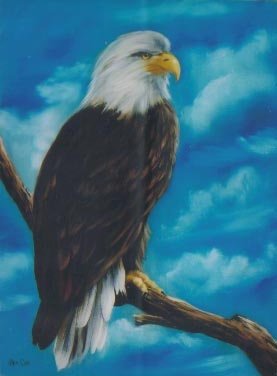 Bob Ross EAGLE How-to Paint Pattern Packet Bonus Booklet