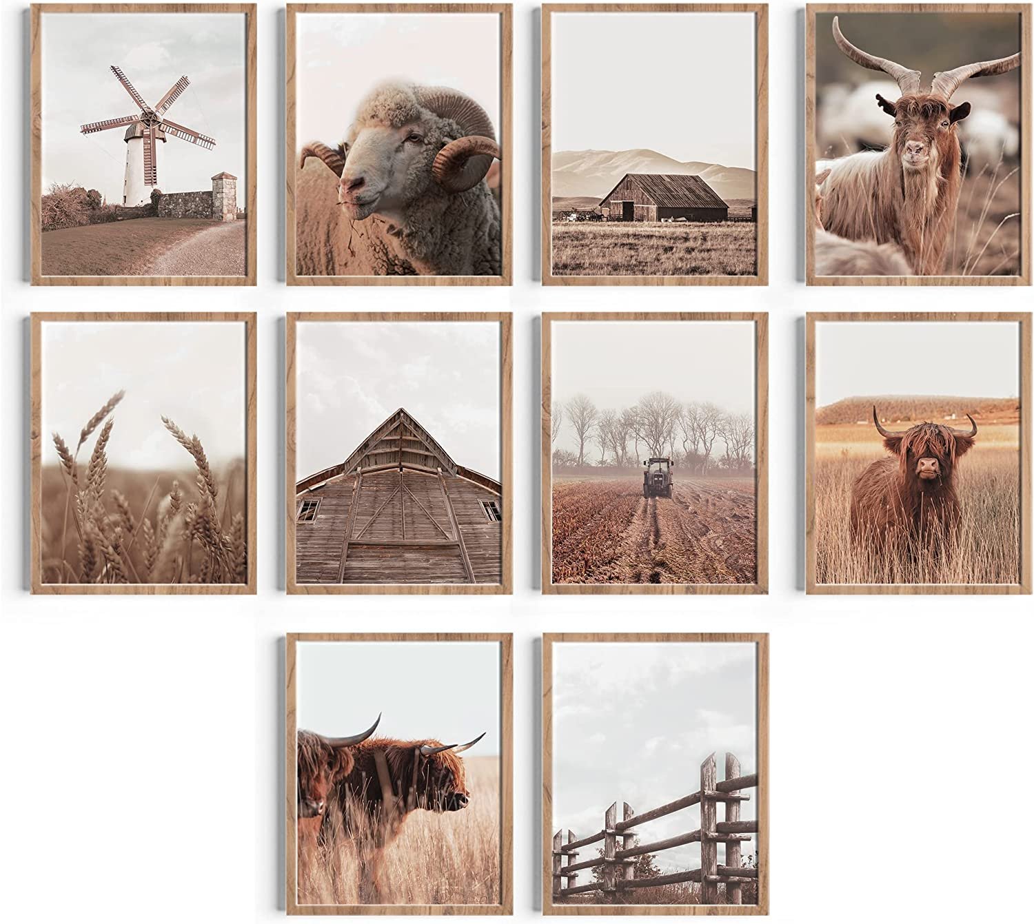 Scottish Highland Cow Wall Art - Set of 10 Farmhouse Pictures Wall Decor