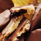 Chip Maniac-Peanut Butter Wings Choco Covered potato chips, 16 oz -