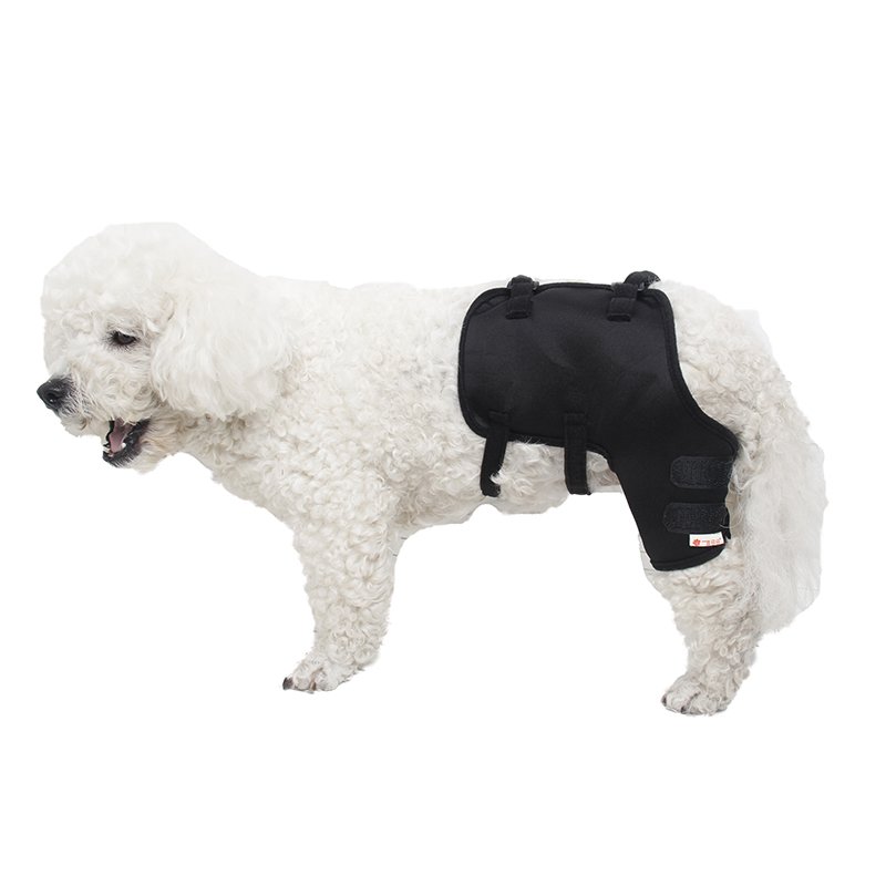 Pet Dog Knee Pads Puppy Leg Support Brace Dog Protector Recovery Wound Joint Bandage