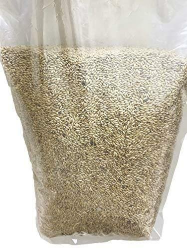 Birds LOVE Alpiste 100% Non-GMO Double Cleaned Canary Seed 5lbs-From Canada